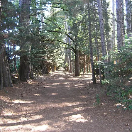 别墅 Vytinahouse 维蒂纳