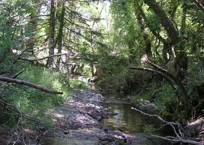 וילה Vytinahouse ויטינה