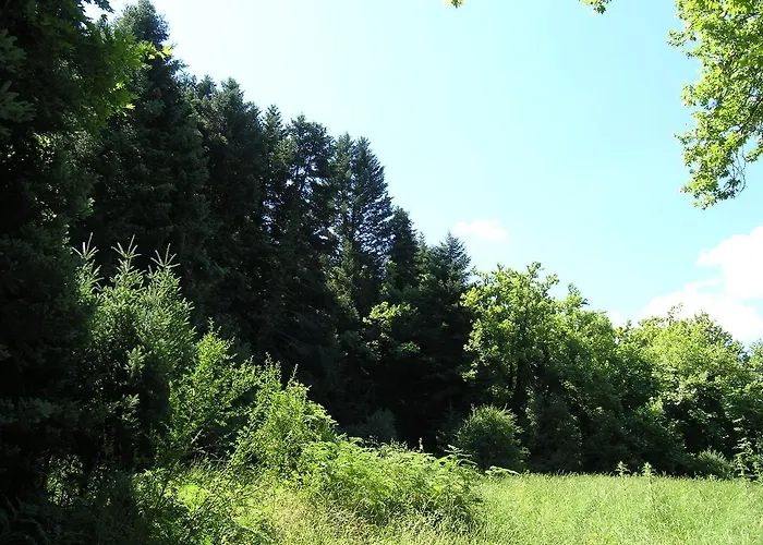 Vytinahouse * ויטינה