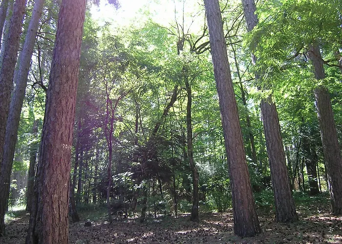 Vytinahouse וילה