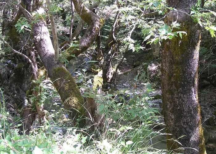 Vytinahouse * Vytina