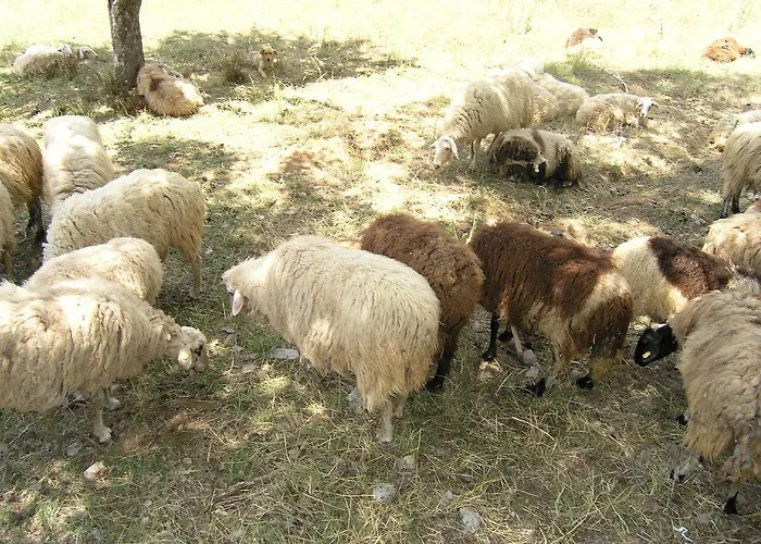 Vytinahouse וילה ויטינה